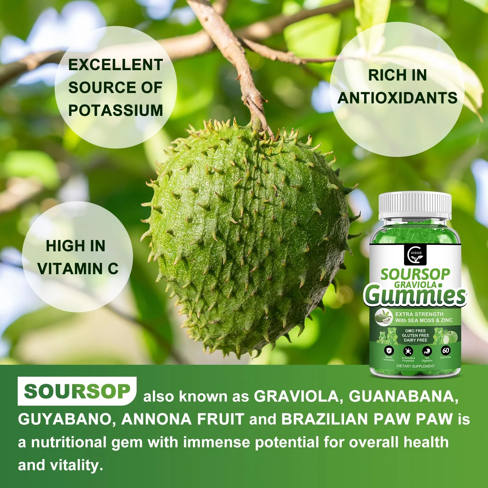 (2 Pack) Soursop Graviola Gummies - 2200mg Extra Strength Soursop Leaves Extract w/Sea Moss Extract 200mg, Zinc & Vitamin C - Supports Immunity, Liver & Digestive, Gluten Free, Vegan, 120 Gummies - Image 4