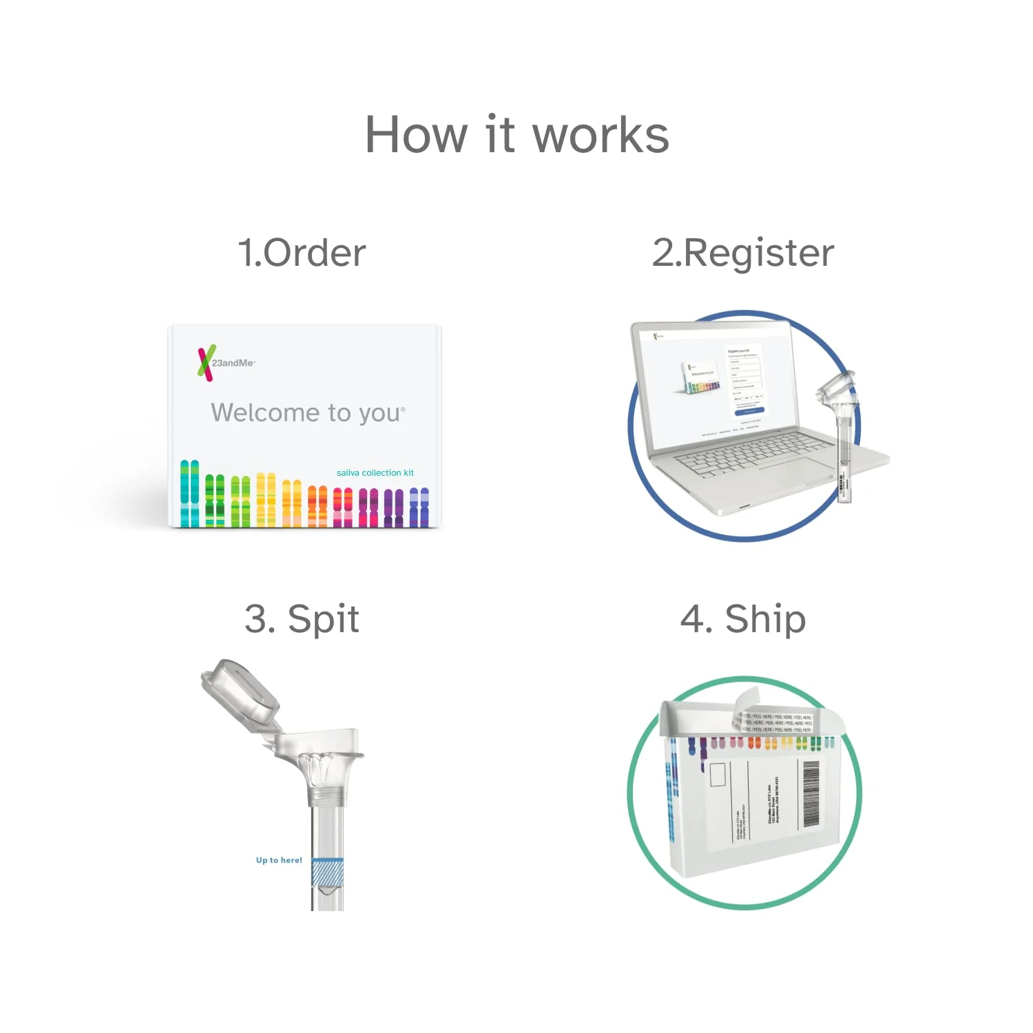 23andMe Health + Ancestry Service: Personal Genetic DNA Test Including Health Predispositions, Carrier Status, Wellness, and Trait Reports (Before You Buy See Important Test Info Below) - Image 3