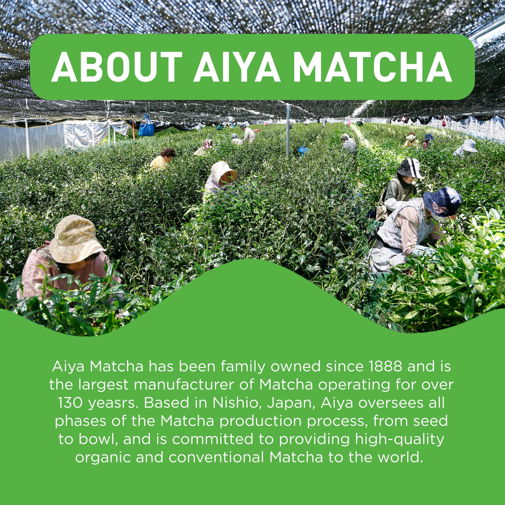 Aiya Sweetened Matcha Blend Powder - Matcha Latte Powder With Antioxidant-Rich Japanese Green Tea & Pure Cane Sugar - Ideal for Smoothies, Lattes, and Culinary Creations - 1kg Bag (2.2 lbs) - Image 2