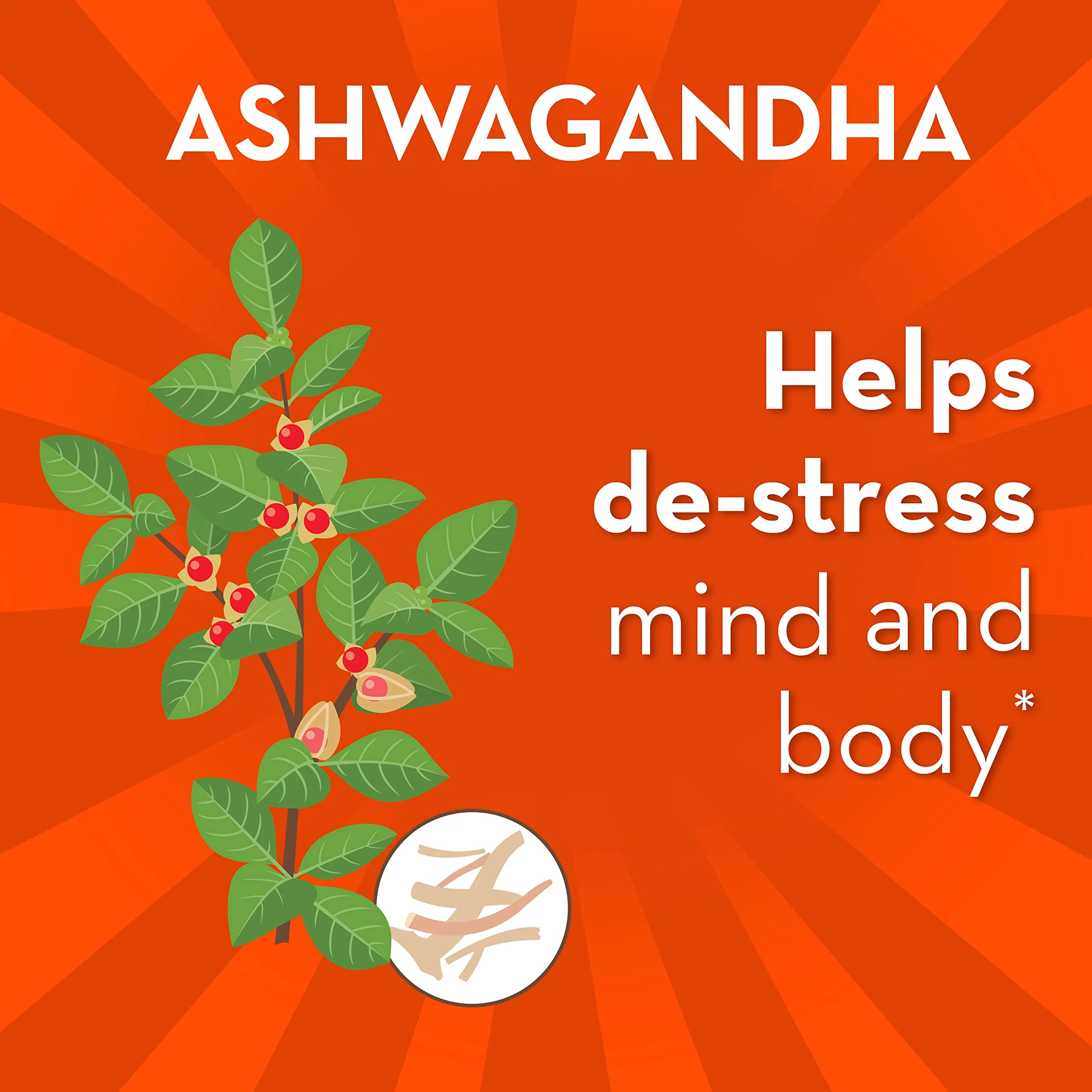 Align Probiotic, Digestive De-stress, Probiotic for Women and Men with Ashwagandha, Helps with a Healthy Response to Stress, Gluten Free, Soy Free, Vegetarian, 21 Capsules - Image 5