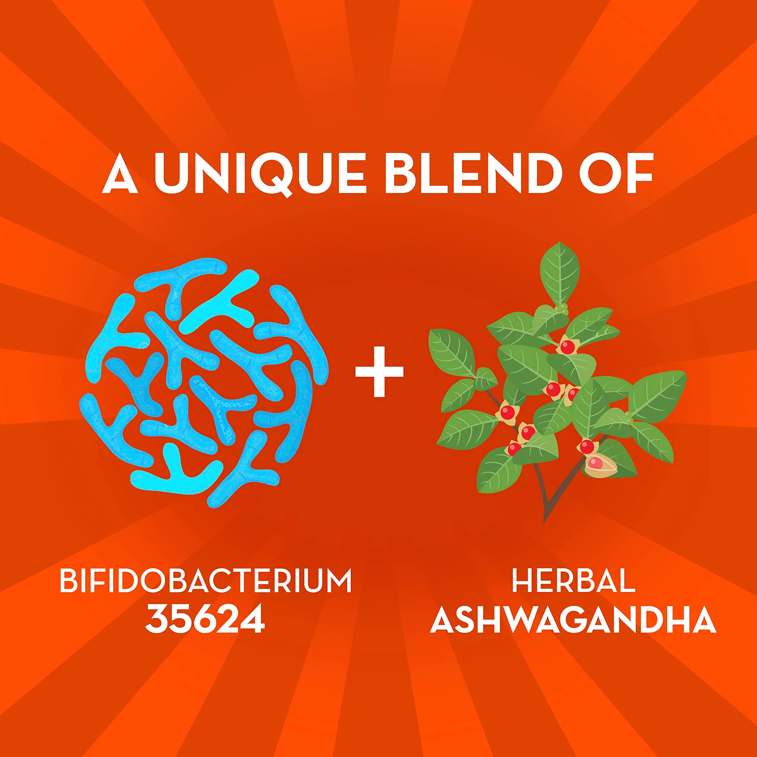 Align Probiotic, Digestive De-stress, Probiotic for Women and Men with Ashwagandha, Helps with a Healthy Response to Stress, Gluten Free, Soy Free, Vegetarian, 21 Capsules - Image 7