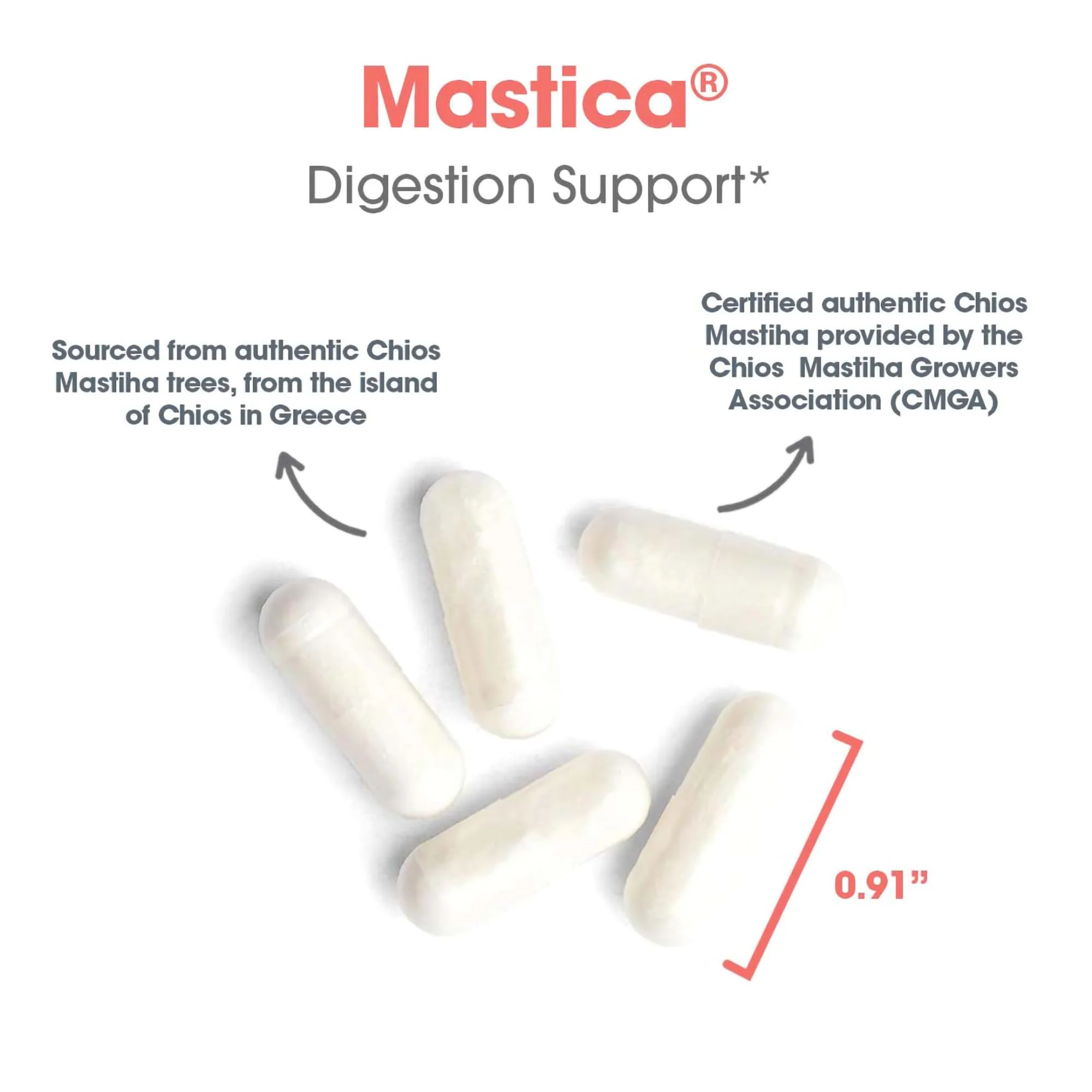 Allergy Research Group Mastica - Mastic Gum Capsules, Digestive Health Supplement for Adults, Mastic Resin Powder Capsules for Gut Health Support - 240 Count - Image 5