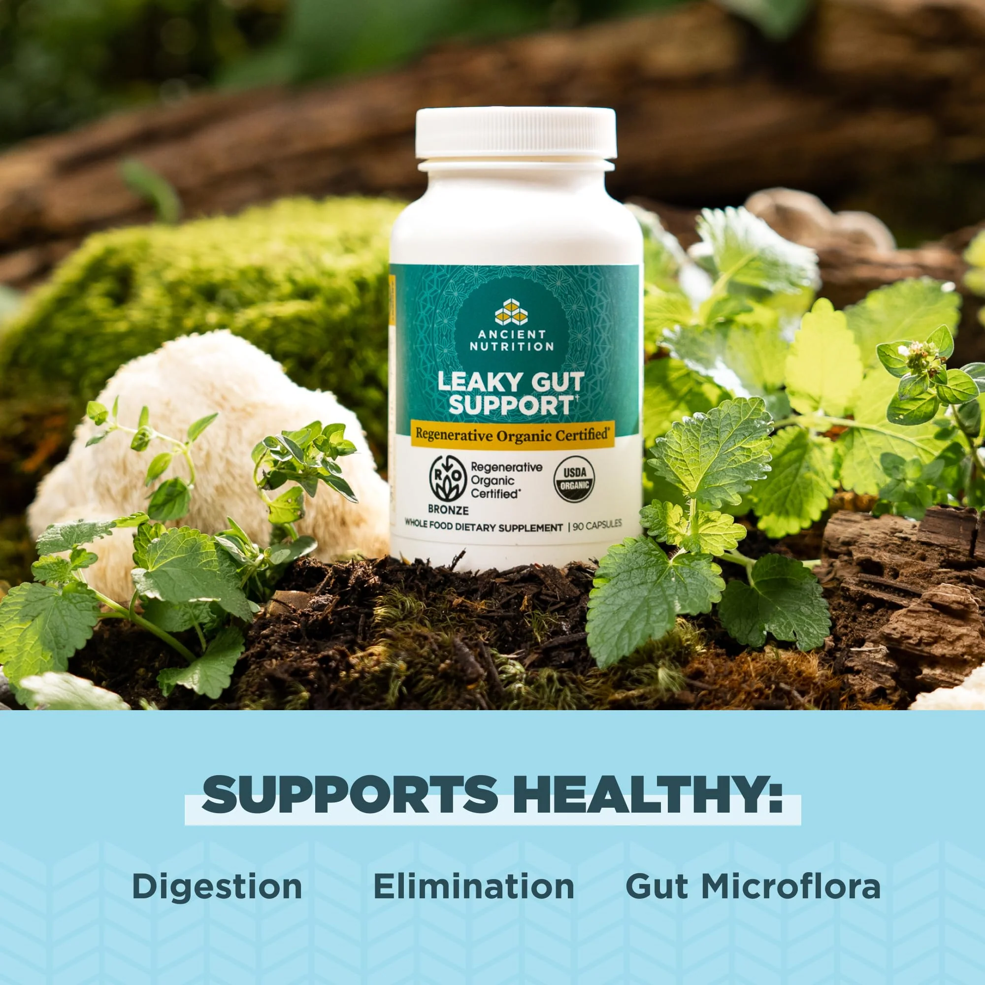 Ancient Nutrition Gut Health Supplement, Regenerative Organic Certified Leaky Gut Capsules, Formulated with Lion’s Mane, Fermented Licorice Root and Spearmint, Gluten Free, Paleo and Keto Friendly, 90 - Image 6