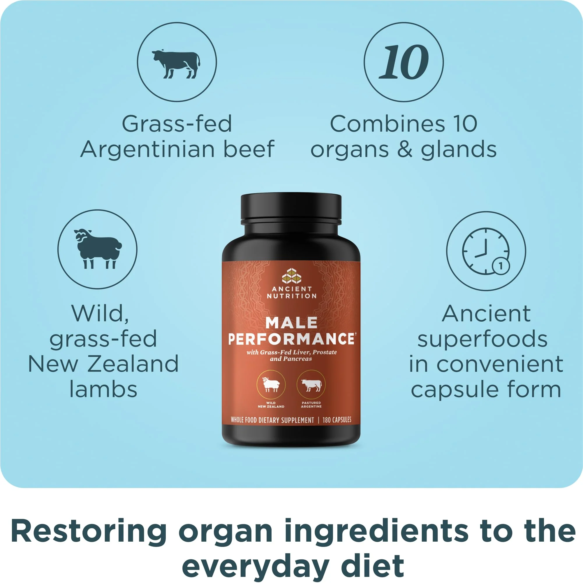 Ancient Nutrition Organ Supplements for Men, Grass-Fed and Wild Organ Complex Capsules, Liver, Prostate, Pancreas Supports Male Performance, Healthy Aging, 180 Ct - Image 7