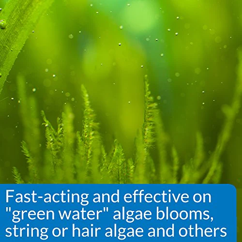 API ALGAEFIX Algae Control 16-Ounce Bottle - Image 5