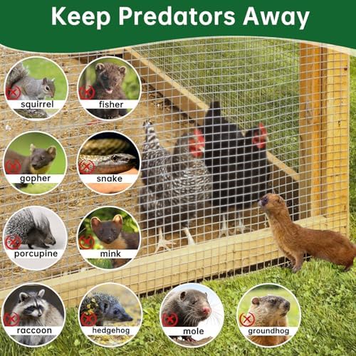 AMAGABELI GARDEN & HOME Hardware Cloth 1/4 Inch 48in x 100ft 23gauge Galvanized After Welding Fence Mesh Roll Plant Supports Poultry Netting Chicken Wire Snake Fence Gopher Racoons Gutter Guard JW004 - Image 4