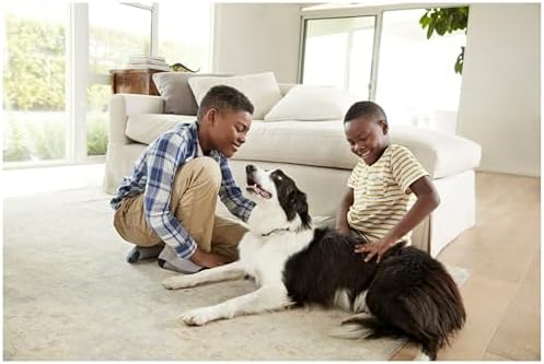 Filtrete 20x25x1 Air Filter MPR 1500 MERV 12, Healthy Living Ultra Allergen, 6-Pack (exact dimensions 19.69x24.69x0.78) - Image 11