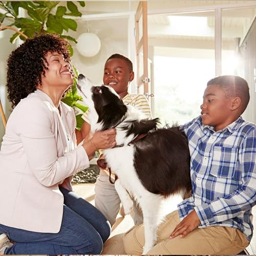 Filtrete 20x30x1 Air Filter, MPR 300, MERV 5, Clean Living Basic Dust 3-Month Pleated 1-Inch Air Filters, 6 Filters - Image 9