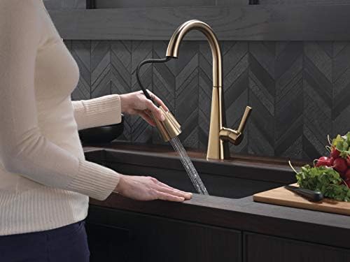 Delta 19802Z-CZ-DST Lenta Kitchen Faucet, Without Soap Dispenser, Champagne Bronze - Image 2
