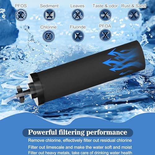 NSF/ANSI 42 Certified Black Purification Elements, for BB9-2® Water Filters Replacement, Compatible with Berkey Gravity Filtration System, Replacement for Berkey Black Filter, Pack of 2 - Image 5