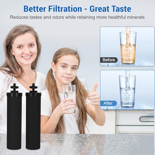 NSF/ANSI 42 Certified Black Purification Elements, for BB9-2® Water Filters Replacement, Compatible with Berkey Gravity Filtration System, Replacement for Berkey Black Filter, Pack of 2 - Image 6
