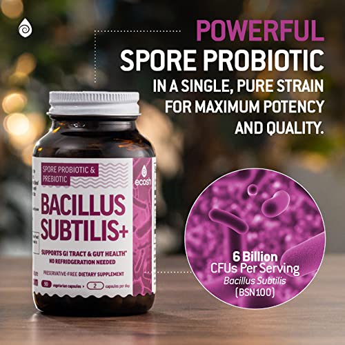 Bacillus Subtilis Spore Based Probiotic — High Potency Strain with Prebiotic for Balanced Belly | Daily Gut Health & Microbiome Support for Family | 6 Billion CFU Per Day | 90 Vegetarian Capsules - Image 5