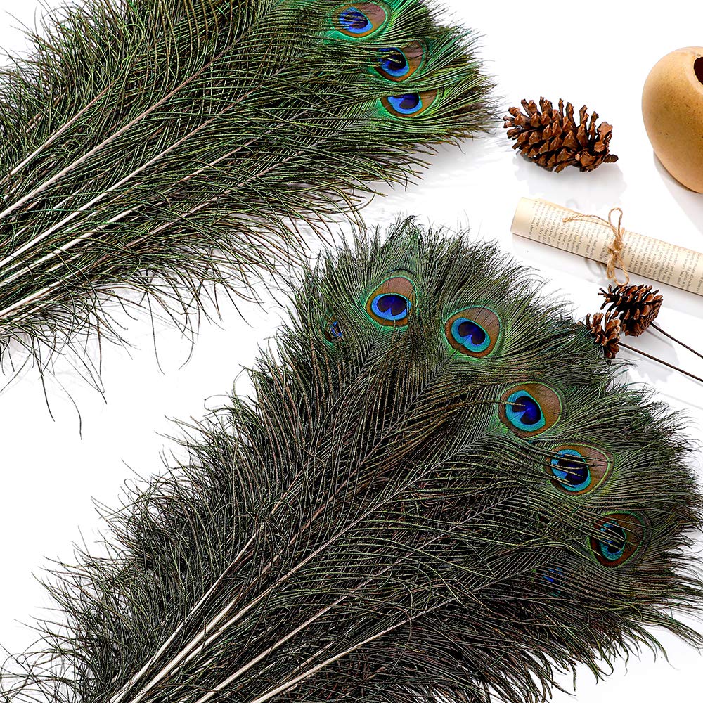 Ballinger 20pcs Natural Long Peacock Feathers 35-40 inch for DIY Craft, Party, Wedding Christmas Decoration and Floral Arrangement - Image 6