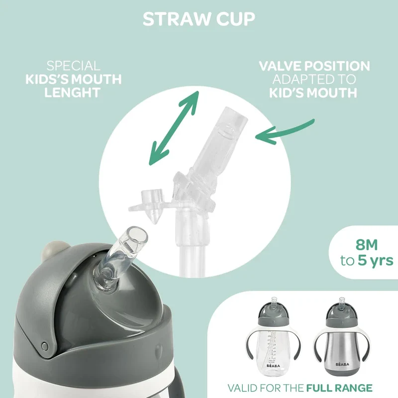 Beaba Stainless Steel Straw Sippy Cup, Insulated Toddler Cups Spill Proof with Removable Handles, Made with High Grade Stainless Steel, 8+ Months, 8.5 oz, (Rain) - Image 8