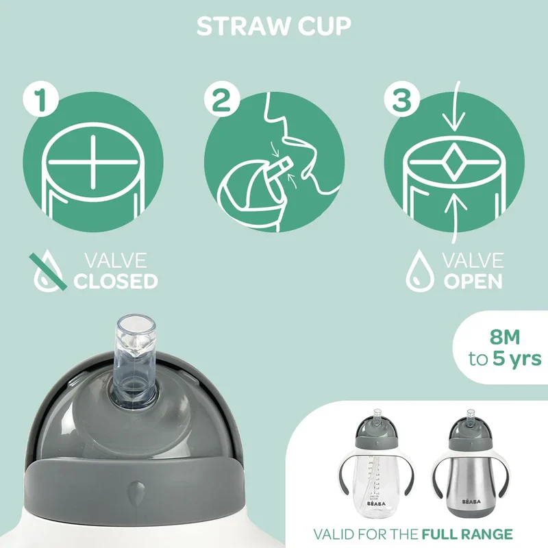 Beaba Stainless Steel Straw Sippy Cup, Insulated Toddler Cups Spill Proof with Removable Handles, Made with High Grade Stainless Steel, 8+ Months, 8.5 oz, (Rain) - Image 9