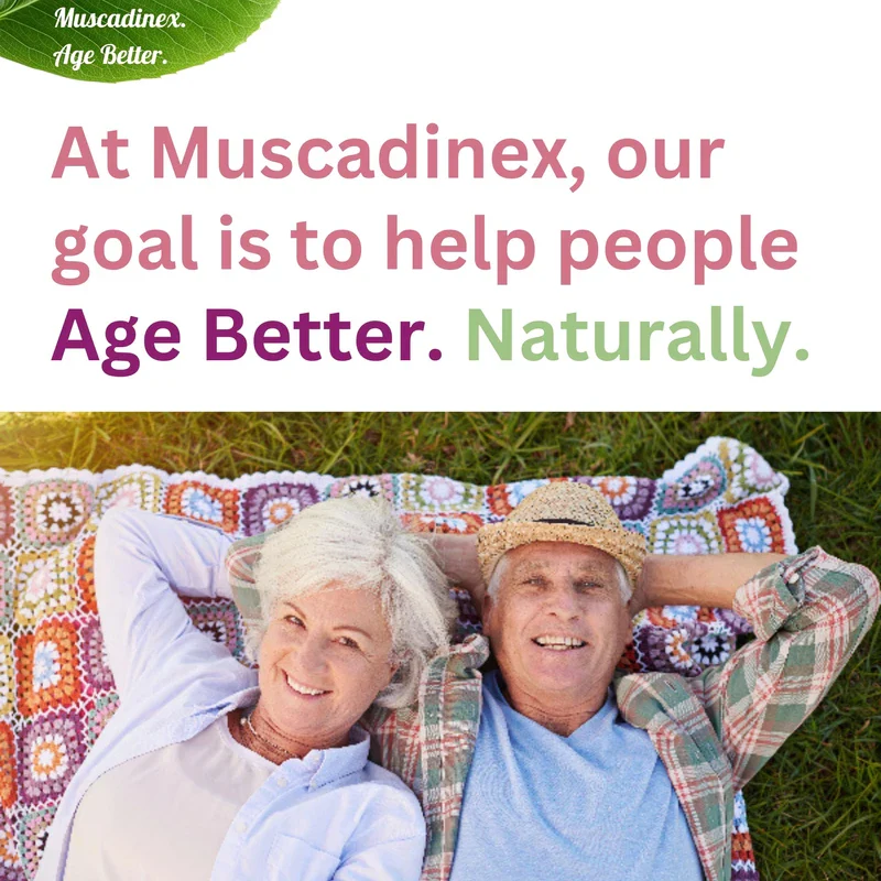 BioPerine Plus Grapeseed Extract Supplement. Time Release. Piperine Black Pepper Can Boost Turmeric Curcumin and Resveratrol. Made in USA. Vegan. Non GMO. - Image 6