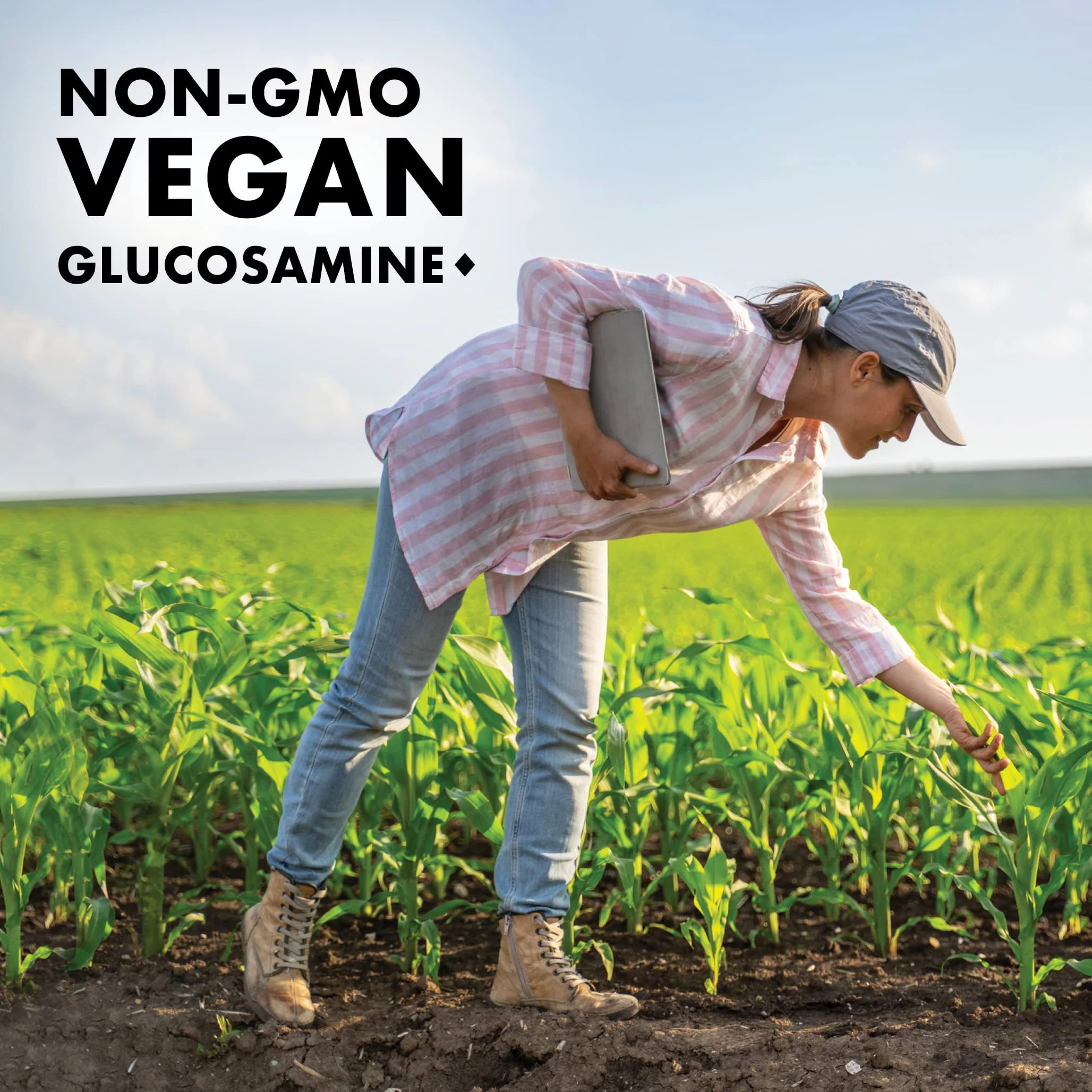 Bluebonnet Vegetarian Glucosamine with MSM Supplement - Shellfish-Free Joint Support Supplement for Women & Men - Vegetable Glucosamine HCI - Vegan, Kosher, Free of Soy, Gluten & Dairy - 120 V Caps - Image 4