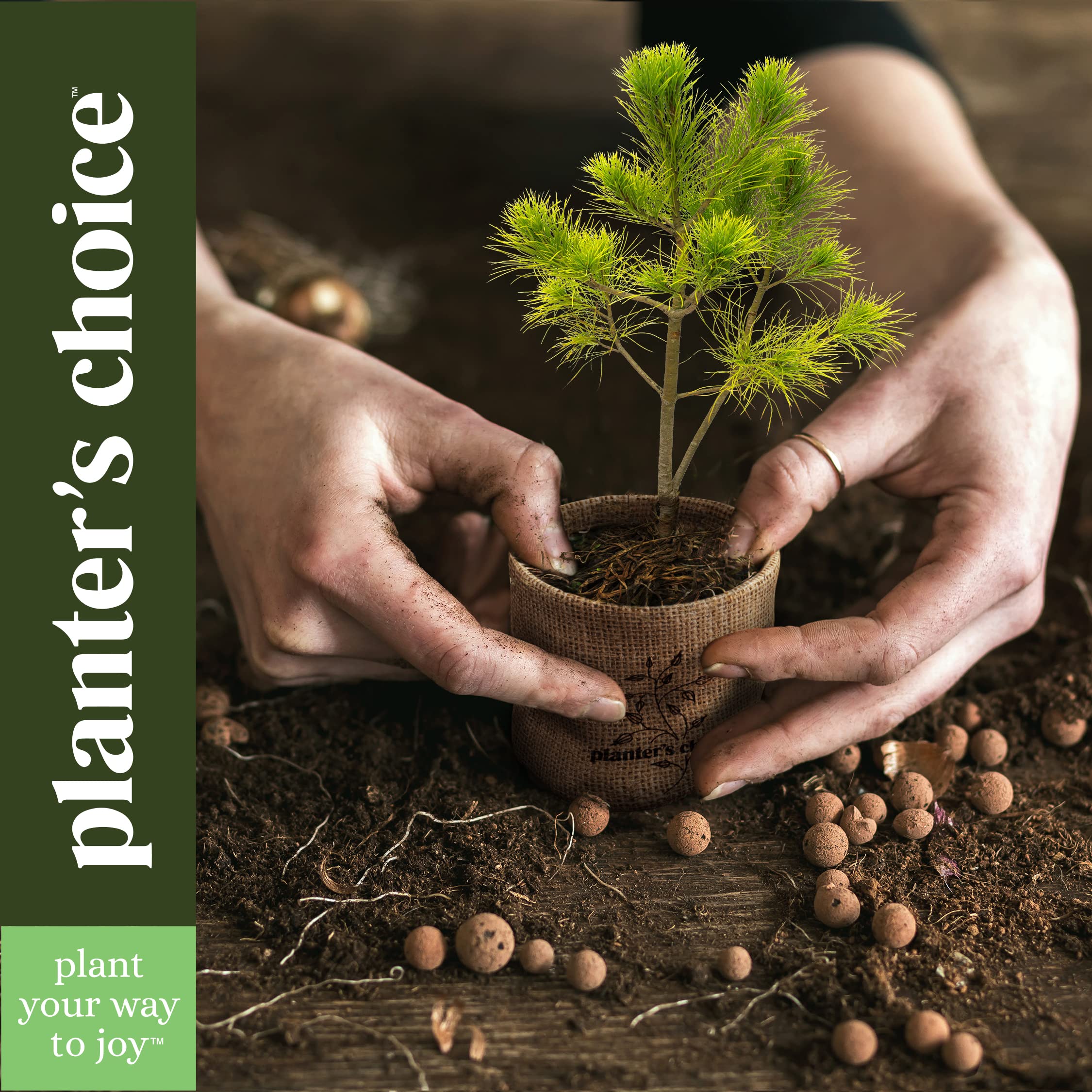 Bonsai Starter Kit - Gardening Easter Gift for Women & Men - Bonsai Tree Growing Garden Crafts Hobby Kits for Adults, Unique DIY Hobbies for Plant Lovers - Unusual Christmas Gifts Ideas - Image 4
