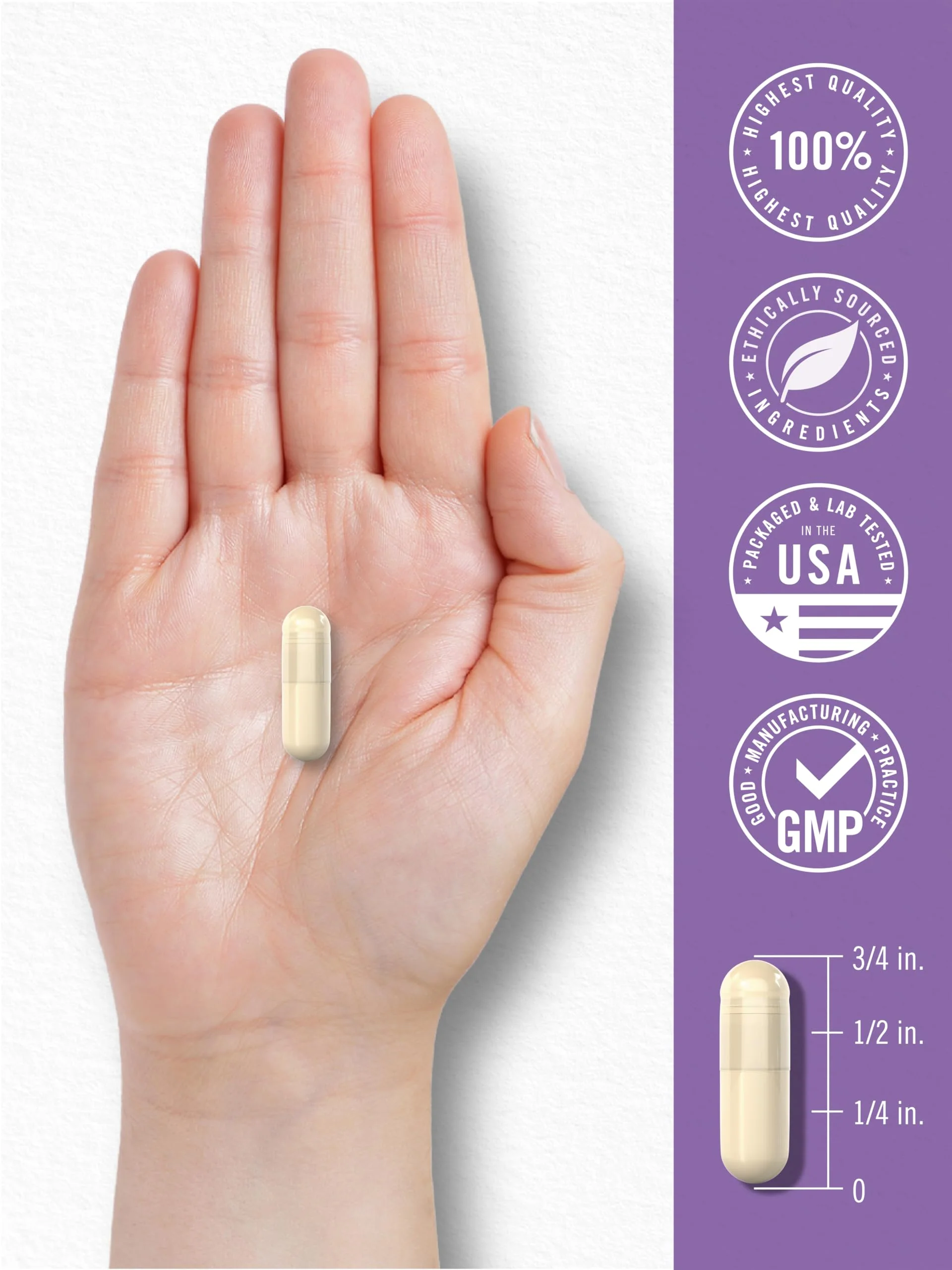 Carlyle Saccharomyces Boulardii Probiotics & Prebiotics | 10 Billion CFUs | 200 Capsules | Value Size | Non-GMO, Gluten Free Supplement - Image 2