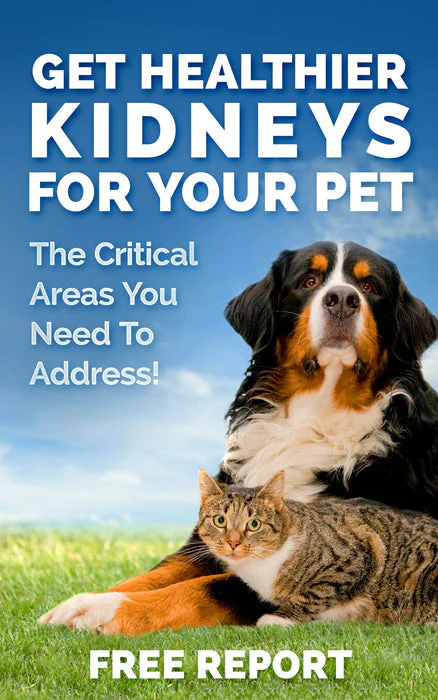 Cat and Dog Kidney Support, Natural Renal Supplements to Support Pets, Feline, Canine Healthy Kidney Function and Urinary Tract. Essential for Pet Health, Pet Alive, Easy to Add to Cats and Dogs Food - Image 5