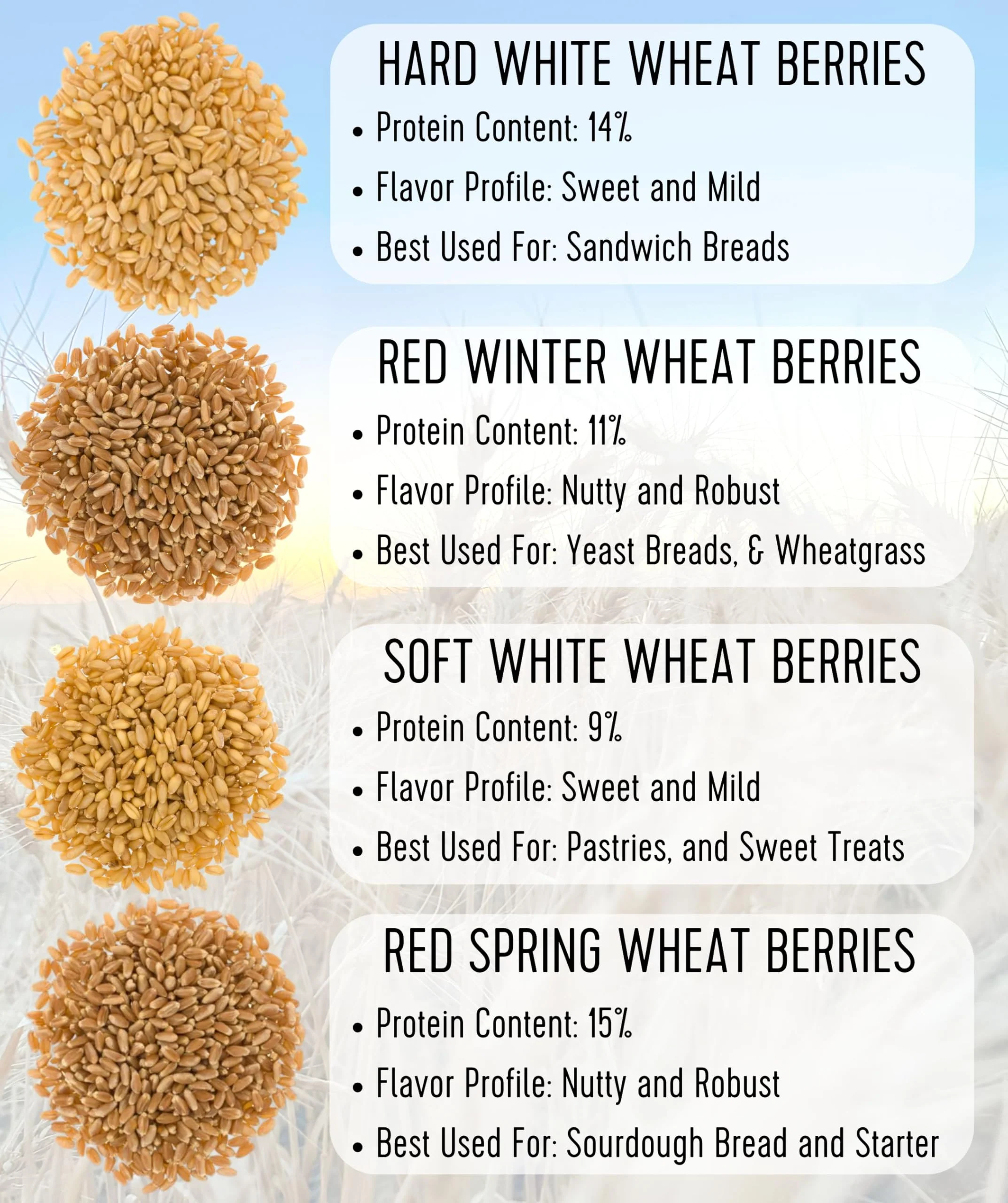 Certified Glyphosate Residue Free Hard Red Winter Wheat Berries | 18 LBS | Family Farmed in Washington State | Non-GMO Project Verified | 100% Non-Irradiated | Certified Kosher Parve | Field Traced - Image 2