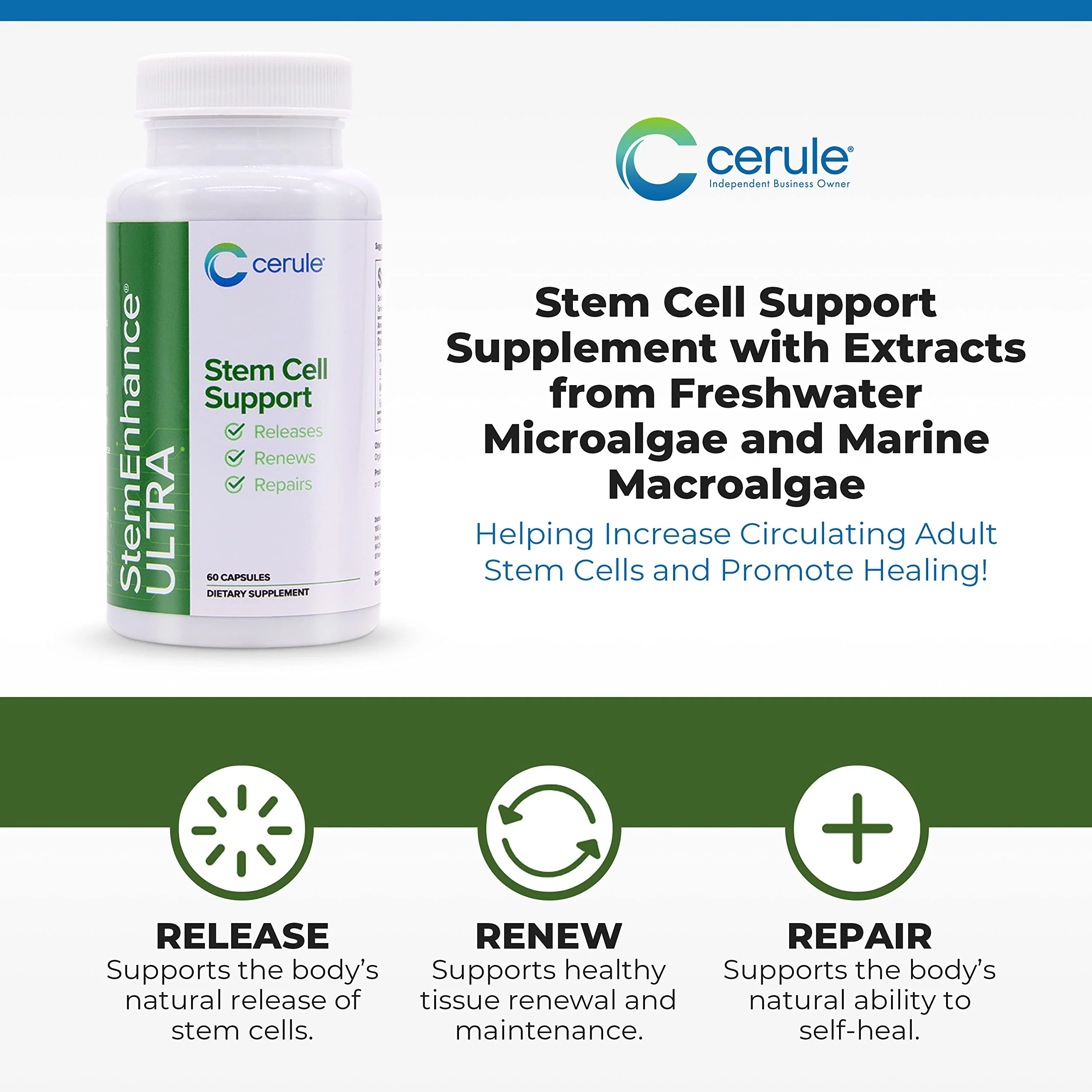 Cerule StemEnhance Ultra Stem Cell Support Supplement with Extracts from Freshwater Microalgae and Marine Macroalgae to Help Increase Circulating Adult Stem Cells and Promote Healing - Image 6