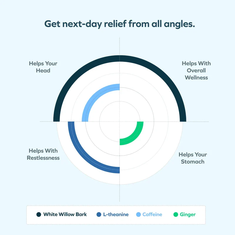 Cheers Relief | Next Morning Aid with Ginger + White Willow Bark | Feel Better After Drinking | 12 Doses | Ginger, White Willow Bark, L-Theanine, Caffeine - Image 3