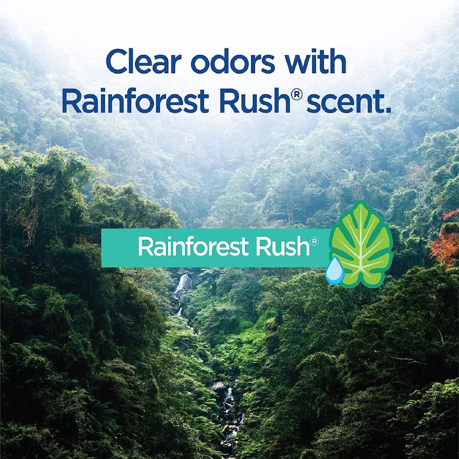 Clorox ToiletWand Disinfecting Refills, Rainforest Rush, 30 Ct (Package May Vary) - Image 5