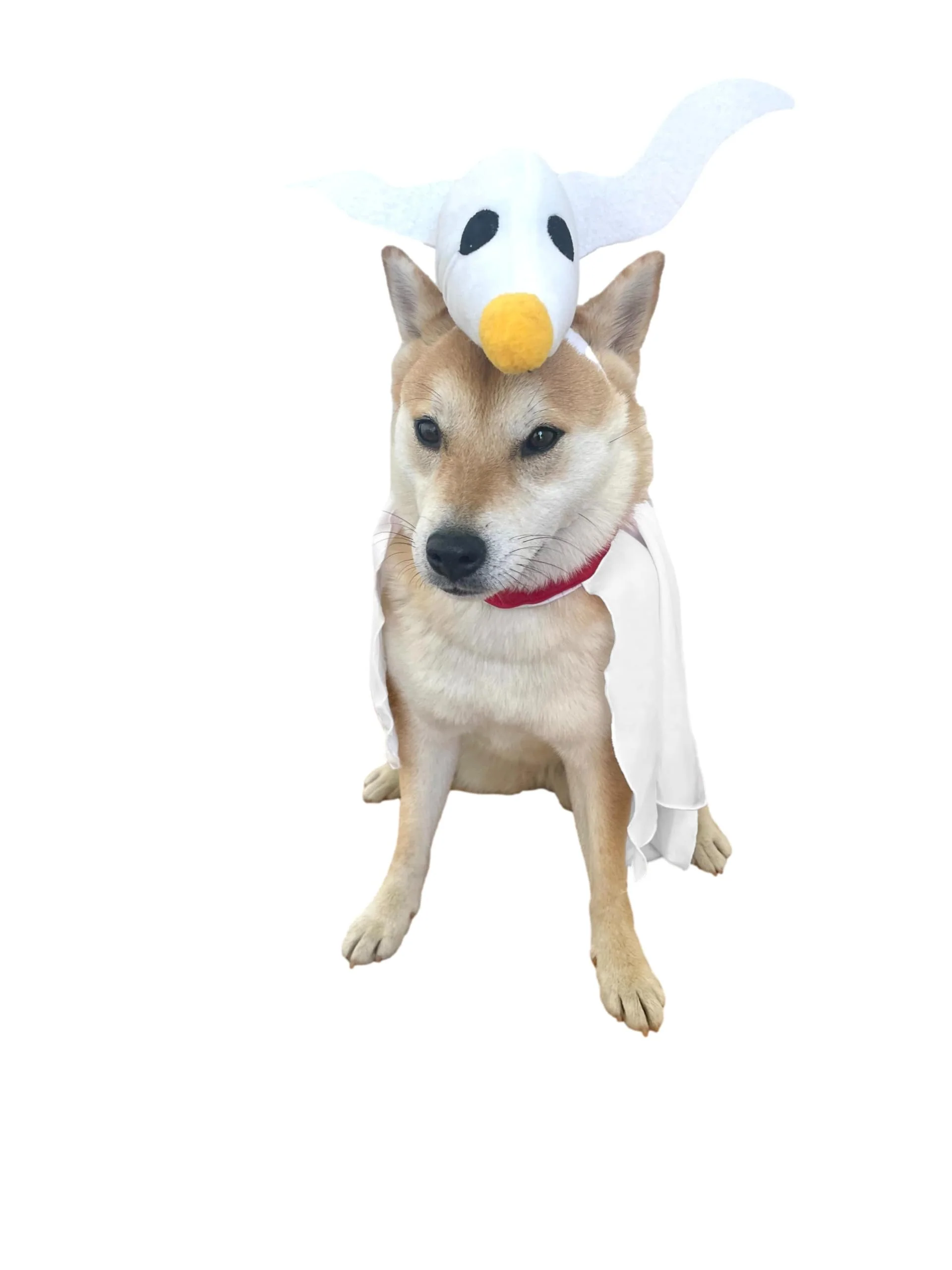 ComfyCamper Dog Ghost Costume - X Large Medium Small French Lab Night Lab Cosplay Halloween Christmas Costumes, Medium - Image 2