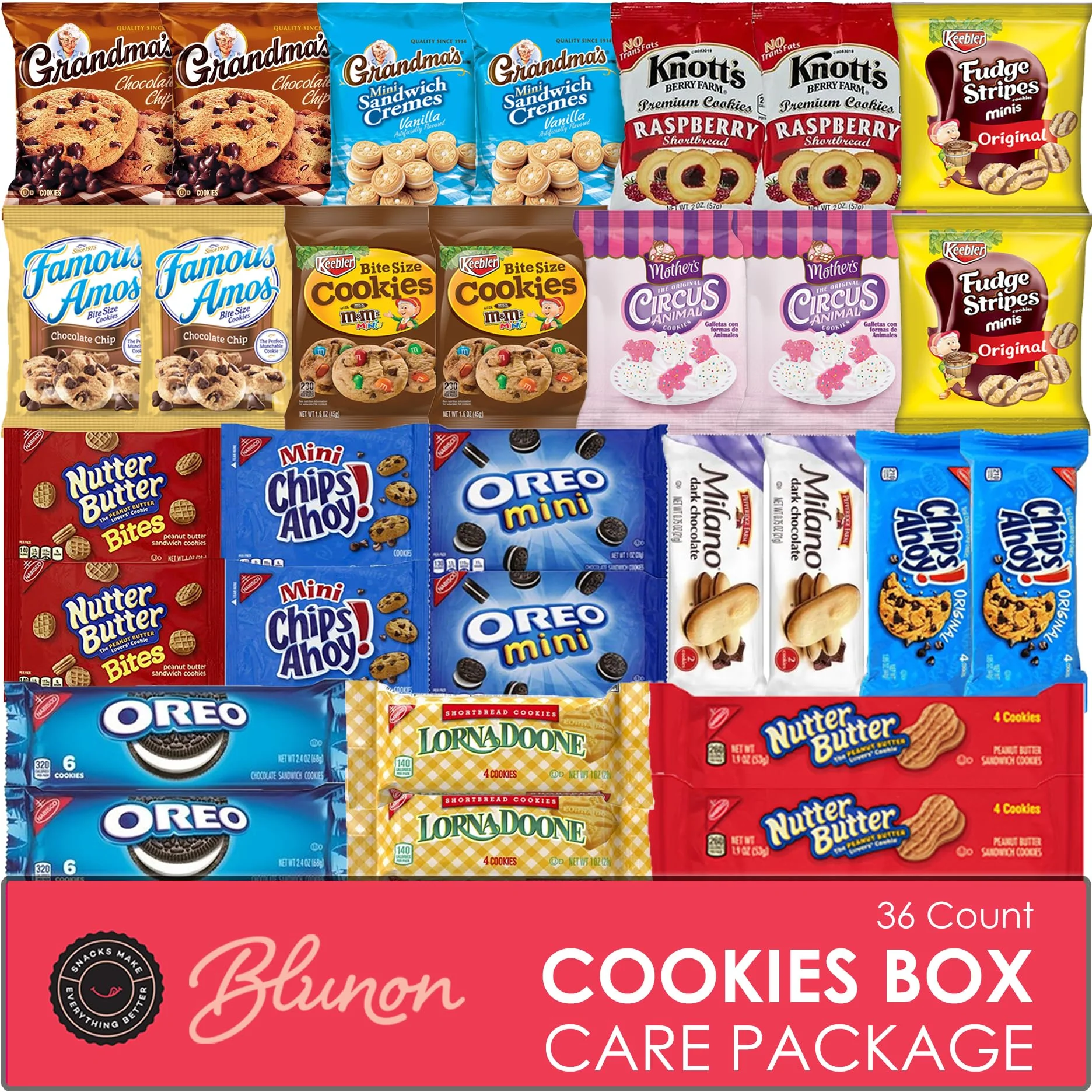 Cookies Variety Pack - Individually Wrapped Assortment - Christmas Gift - Sampler Bulk Care Package Gift Box (30 Count)