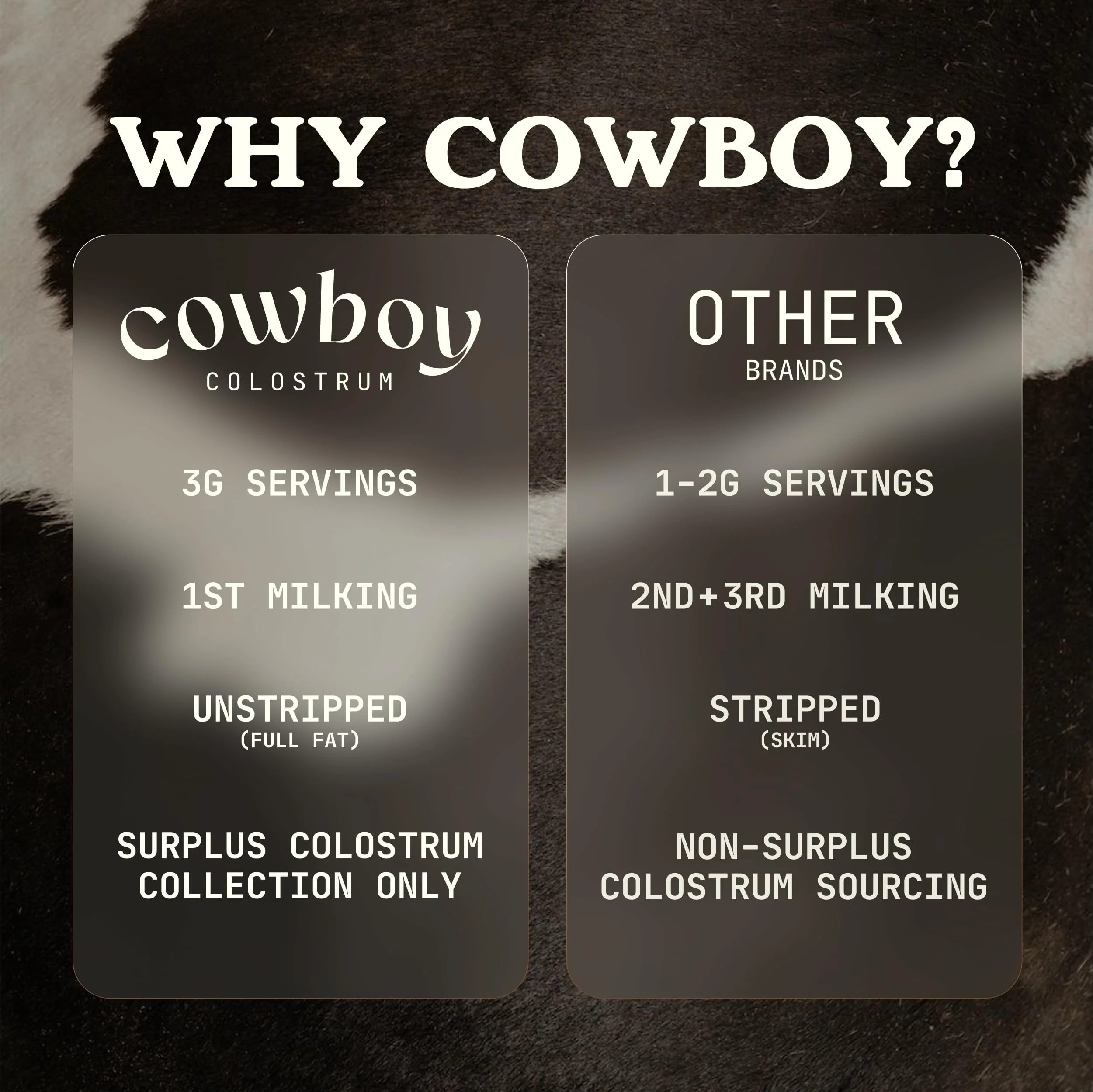 COWBOY COLOSTRUM Powder - Bovine Colostrum Powder for Women & Men - First Day Milking Whole Colostrum - Grass Fed Colostrum Supplement for Gut Health, Immunity, Skin & Hair (Unflavored, 40 Servings) - Image 7