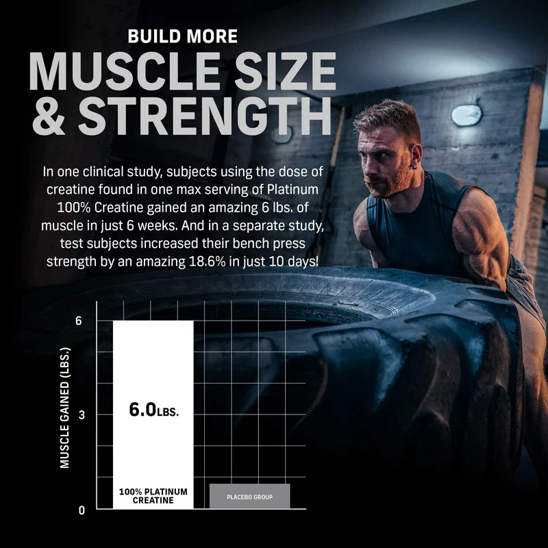 Creatine Monohydrate Powder MuscleTech Platinum Pure Micronized Muscle Recovery + Builder for Men & Women Workout Supplements Unflavored (80 Servings) - Image 2