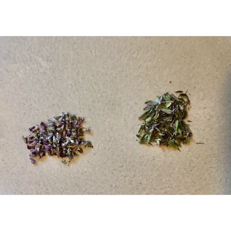 CREEPING ELFIN THYME 5,000 CREEPING ELFIN THYME SEEDS FOR GRASS REPLACEMENT, ROCK GARDENS, ETC. - Image 5