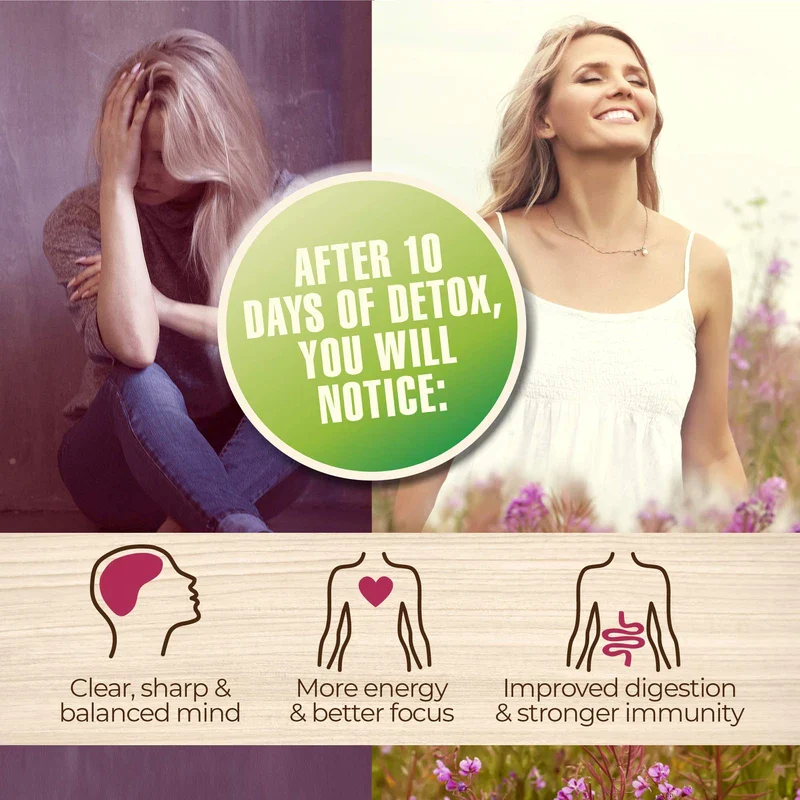 Detox Organic Smoothie Powder with Healthy Spirulina, Atlantic Dulse and Barley Grass Juice Powder, Premium Quality superfood from Europe - Image 4