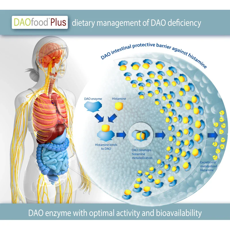 DR Healthcare DAOfood Plus - Dietary Management of DAO Deficiency/Histamine Intolerance - 60 EFICAPS Capsules with Gastro-Resistant Tablets - DAO Enzyme, Quercetin and Vitamin C - Image 10