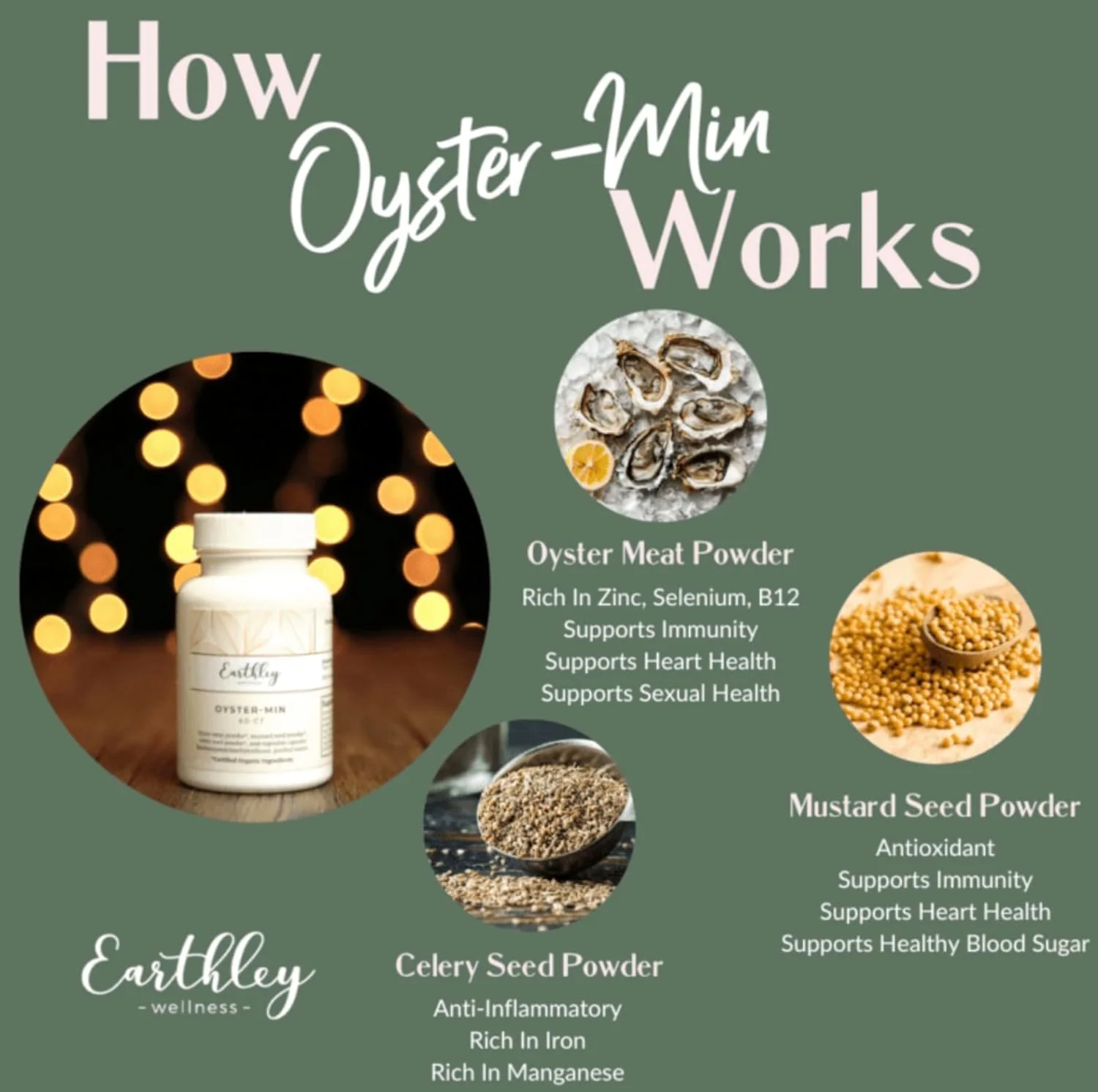 Earthley Wellness, Oyster-Min Capsules, Natural Zinc & Mineral Supplement, Promotes Energy & Mood, Rich in Antioxidants & Amino Acids, 100% Pure & Bioavailable (60 Capsules) - Image 9