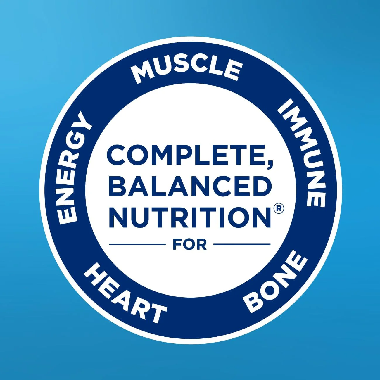 Ensure Plus Butter Pecan Nutrition Shake | Meal Replacement Shake | Ready To Drink | 16g Protein and 27 Vitamins and Minerals | 8 fl oz - 24 Pack - Image 9