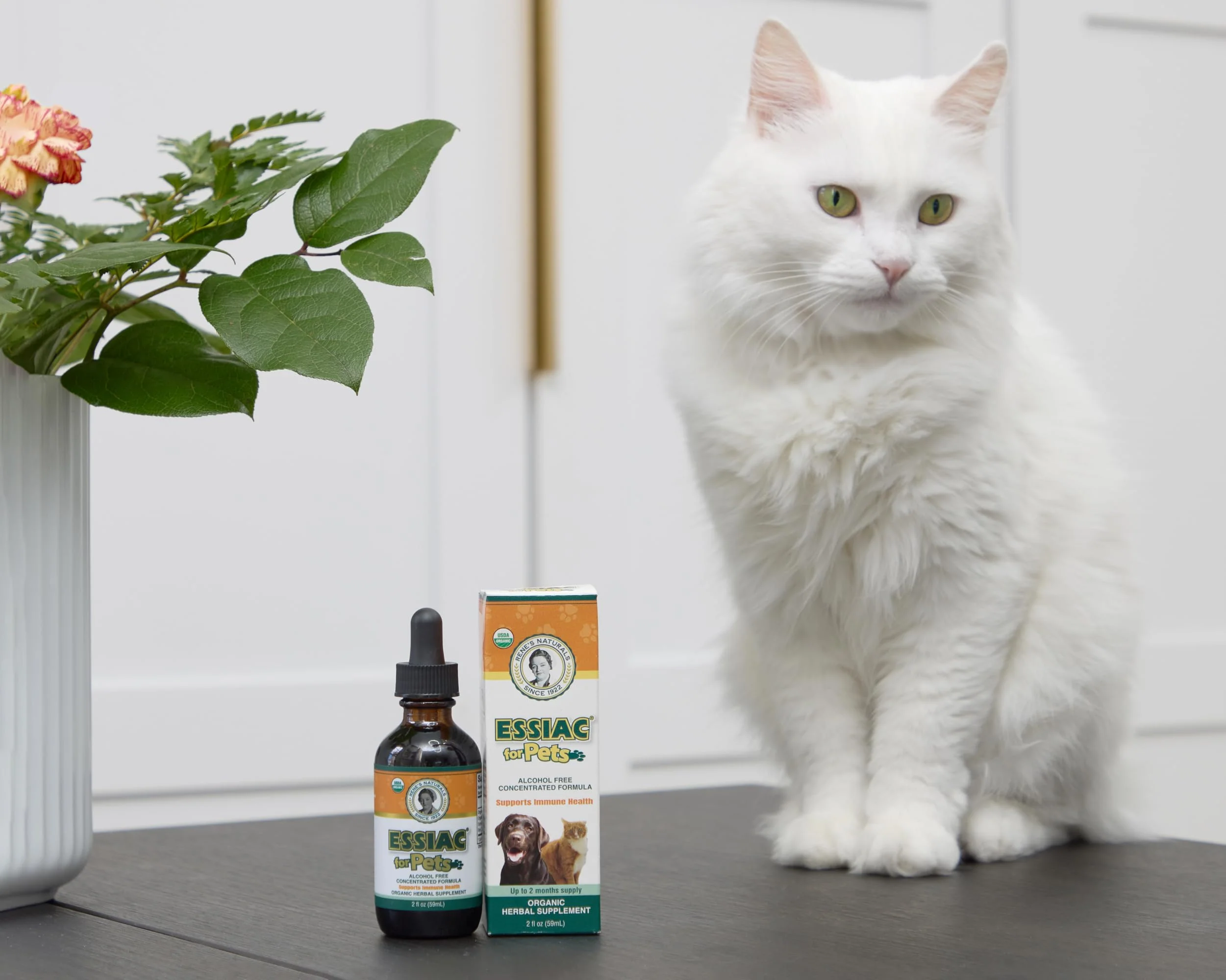 Essiac for Pets | USDA Organic | Daily Drops for Immune Support and Longevity | Pre-Measured Dropper | Alcohol Free Concentrated Formula | 2oz (59ml) - Image 7