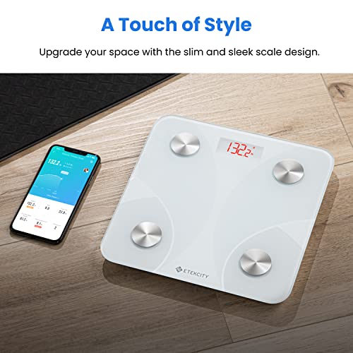 Etekcity Scale for Body Weight, Smart Digital Bathroom Weighing Scales with Body Fat and Water Weight for People, Bluetooth BMI Electronic Body Analyzer Machine, 400lb - Image 4