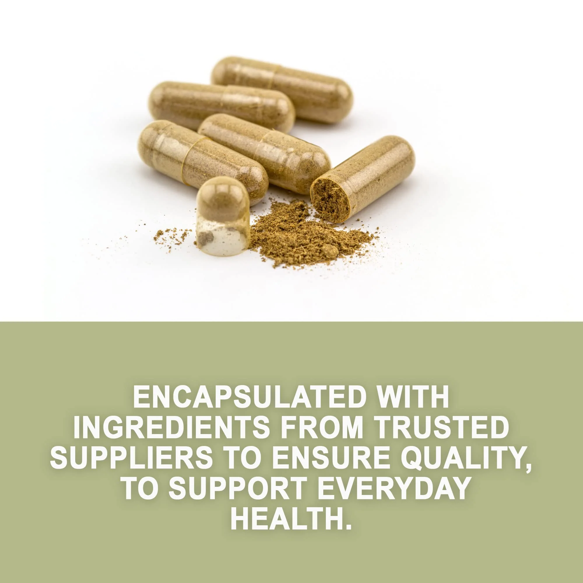 Evergreen Herbs Cuachalalate Herb (Amphipetyglum Adstringens) - Resealable Stand Up Pouch to Ensure Freshness! (Capsules) - Image 7