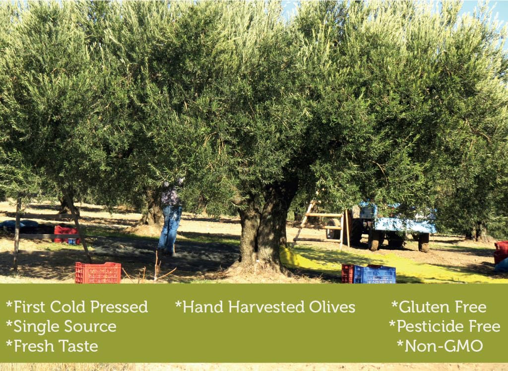 Extra Virgin Olive Oil Cold Pressed - London Award-Winning - 33.81 Fluid Ounce,Antique Ephesus, Mediterranean Region of Ayvalik Turkey (Extra Virgin) - Image 8