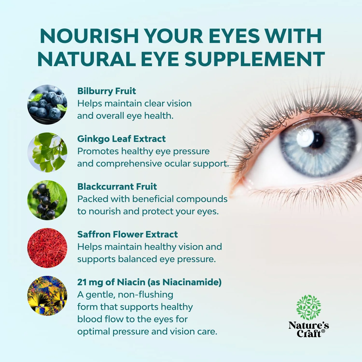 Eye Pressure Support with Bilberry Extract - Vegan Eye Health Supplement for Adults For Ocular Pressure Relief with Saffron Ginkgo Niacin and More Vitamins Vision Support (2 Month Supply) - Image 5