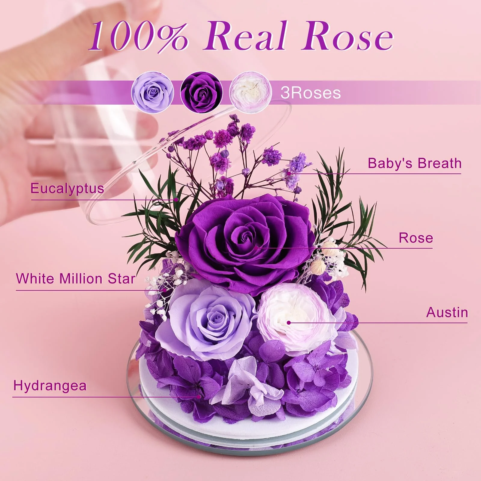 FIACO Gifts for Women Mom Preserved Rose Forever Flower in Glass Angel Figurine Fresh Flowers for Delivery Birthday Gifts for Grandma Wife Sister Christmas Anniversary Eternal Purple Roses - Image 3