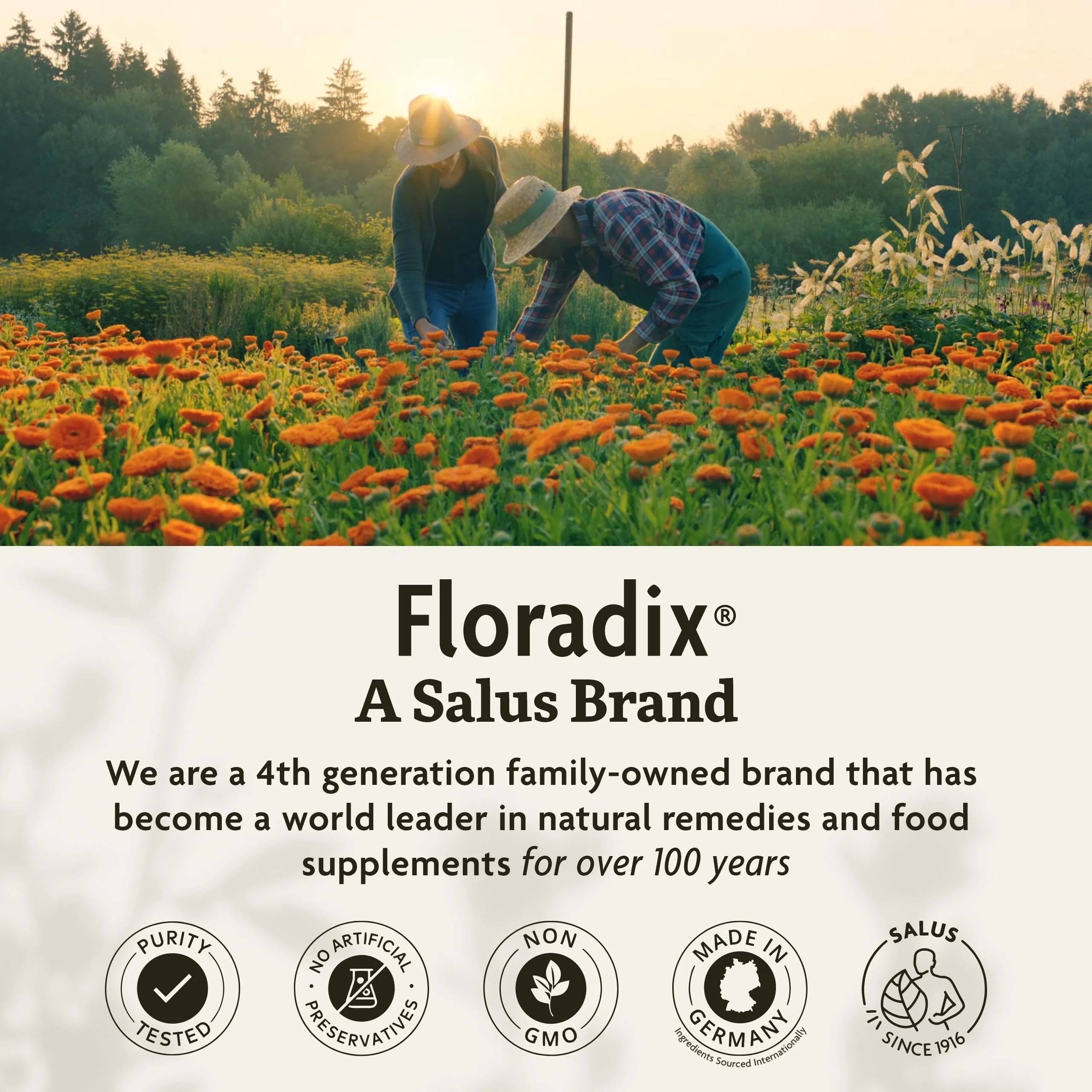 Floradix by Salus Iron & Herbs - Liquid Herbal Supplement for Energy Support* - Iron Supplement with Vitamin C & B Complex Vitamins - for Men & Women - 8.5 Fl Oz - Image 2