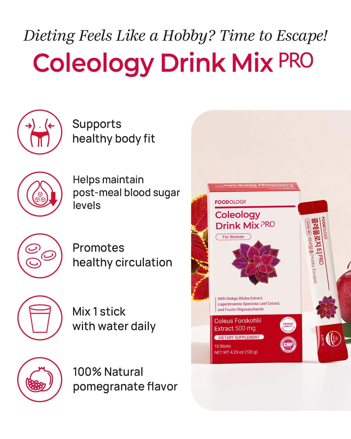 FOODOLOGY Coleology Drink Mix PRO (15days) - Daily Pomegranate Water Mix with Coleus Forskohlii, Banaba Leaf, FOS & Ginkgo – Refreshing Wellness Drink for Body Balance - Image 4