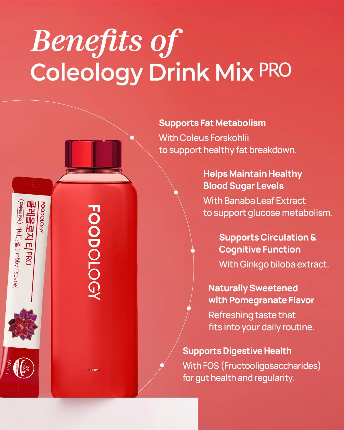 FOODOLOGY Coleology Drink Mix PRO (15days) - Daily Pomegranate Water Mix with Coleus Forskohlii, Banaba Leaf, FOS & Ginkgo – Refreshing Wellness Drink for Body Balance - Image 6
