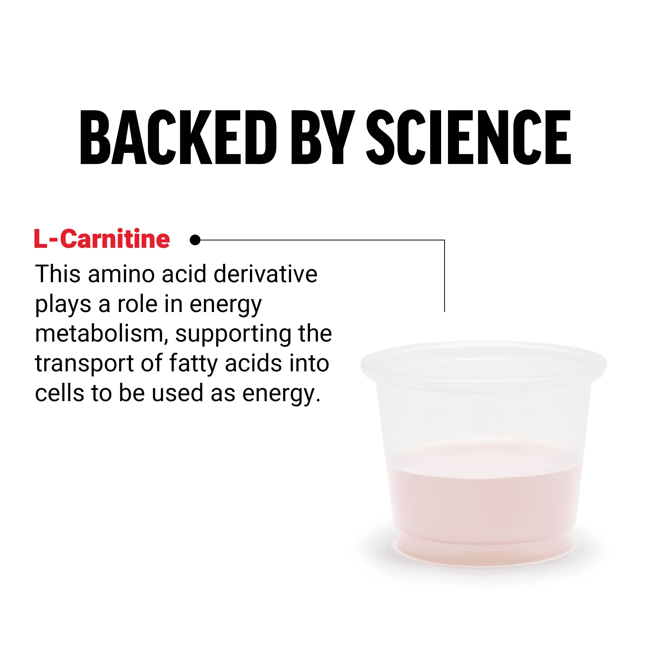 Force Factor L Carnitine Supplement, Liquid L-Carnitine 3000 mg to Help Turn Fat Into Energy, Support Muscle Recovery, and Boost Cellular Energy, Maximum Strength, Non-GMO, Berry Flavor, 16 Oz. - Image 9
