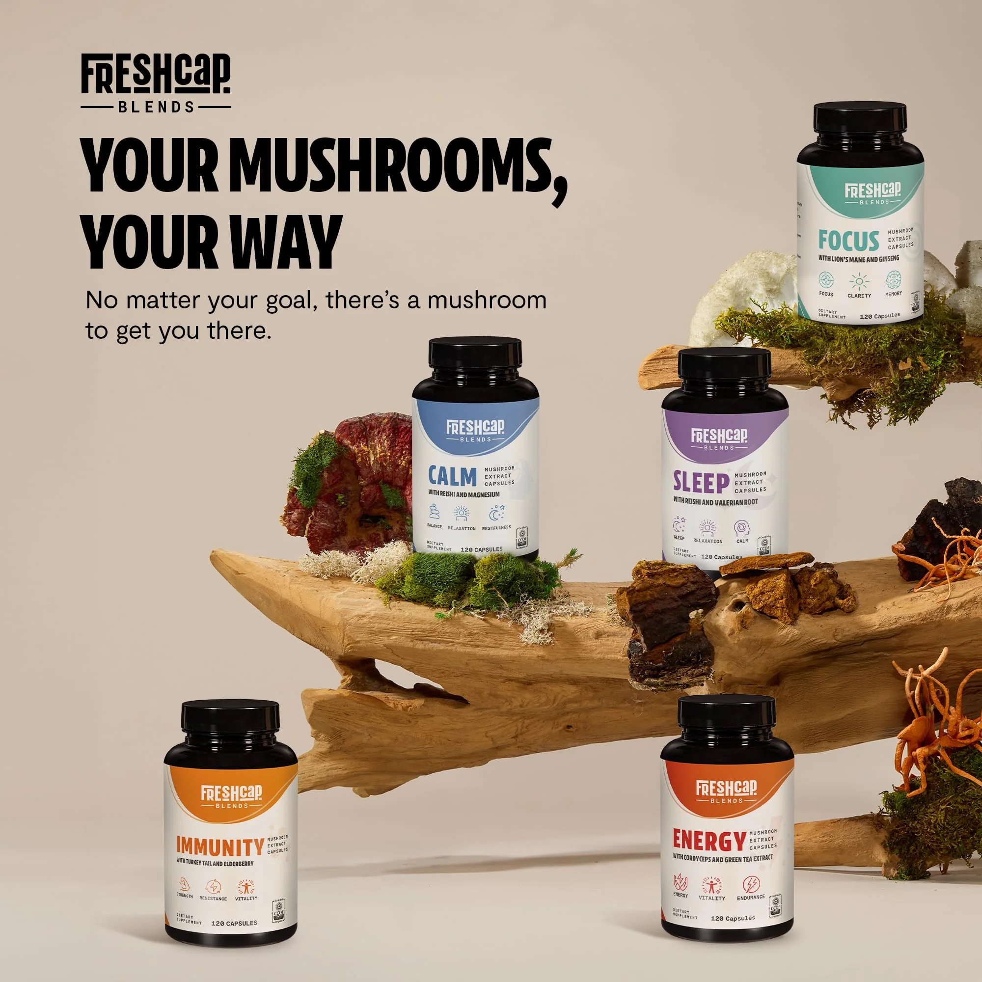 FreshCap 7-in-1 Immune Support Supplement - 5000mg Turkey Tail Mushroom Capsules, Immune Boosters for Adults, Immunity Boost Supplement, Elderberry Vitamin C and Zinc, Ayurveda (120 Capsules) - Image 2