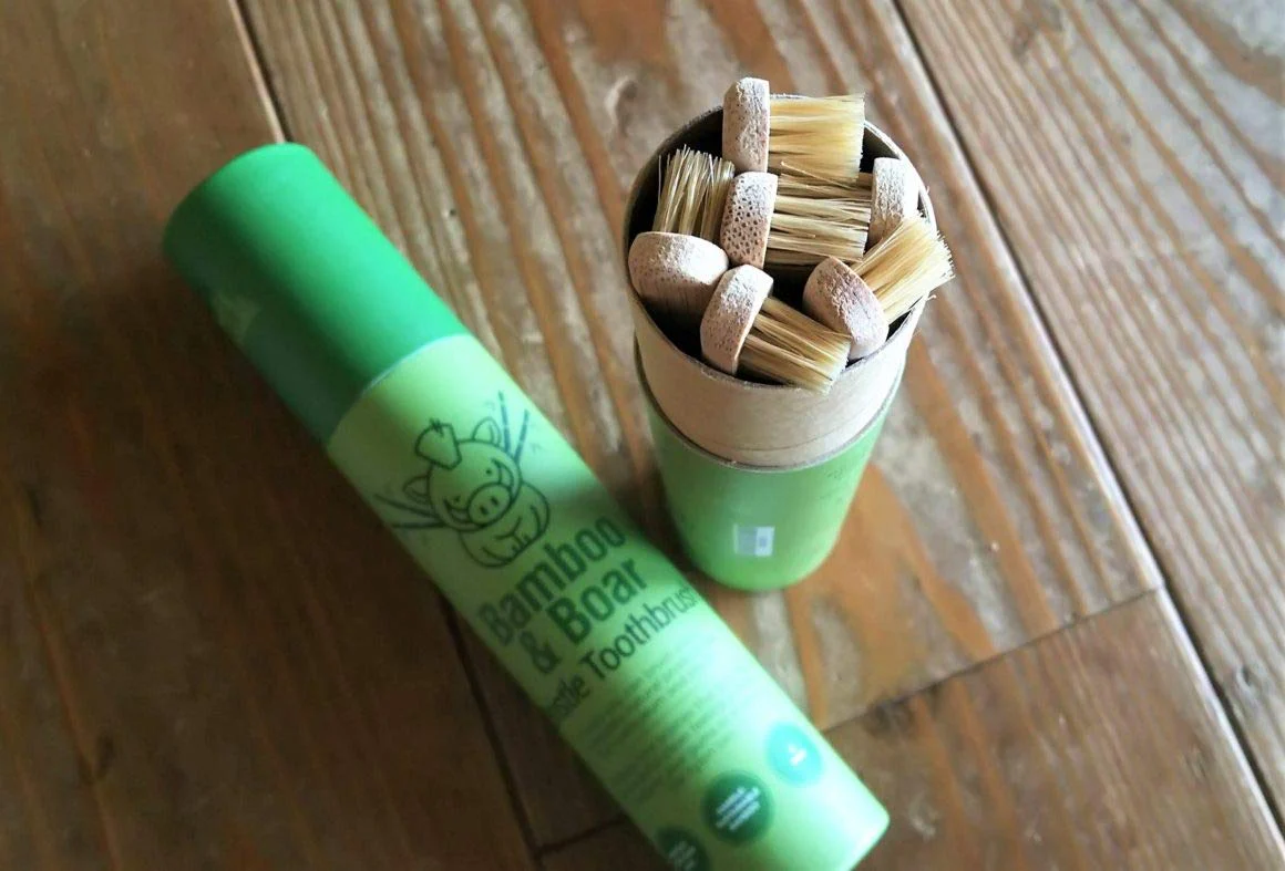 Gaia Guy Natural Bristle Bamboo Toothbrush (NO Nylon - Boar Hair ONLY) - Totally Compostable & Biodegradable Boar Bristle and Bamboo Toothbrushes - Zero Waste - 6-Pack - Image 5