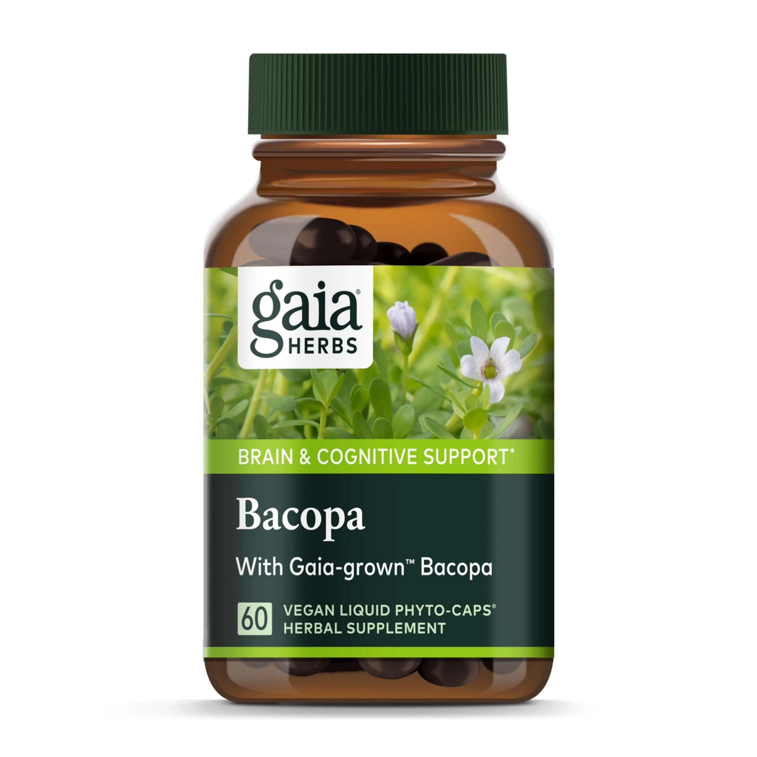 Gaia Herbs Bacopa - Brain and Cognitive Support Herbal Supplement - Made with Bacopa (Bacopa Monnieri) to Help Support a Thriving Mind - 60 Vegan Liquid Phyto-Capsules (Up to 60-Day Supply)